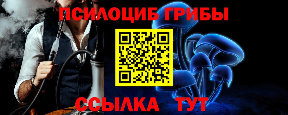 Дзержинский  Галлюциногенные грибы MAGIC MUSHROOMS  Вход с VPN 